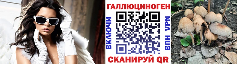 Псилоцибиновые грибы Psilocybine cubensis  закладки  Ипатово 
