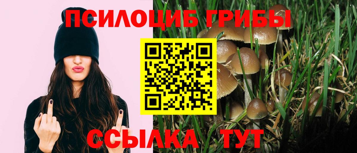 Галлюциногенные грибы Cubensis  Галлюциногенные грибы Magic Shrooms  Вход с VPN  Ипатово 